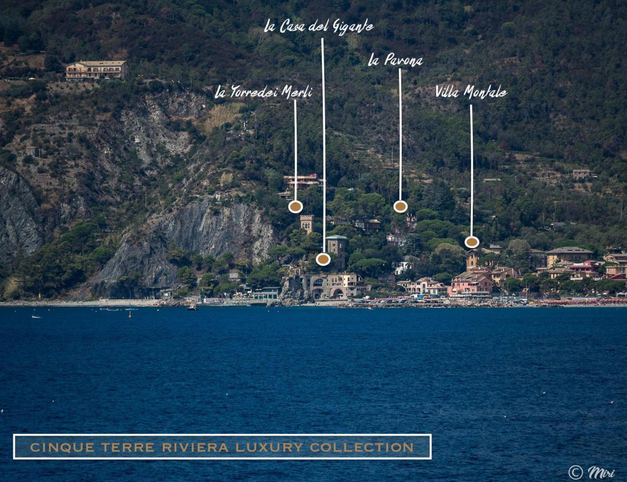 Villa Montale Apartment I Limoni Monterosso al Mare Bagian luar foto